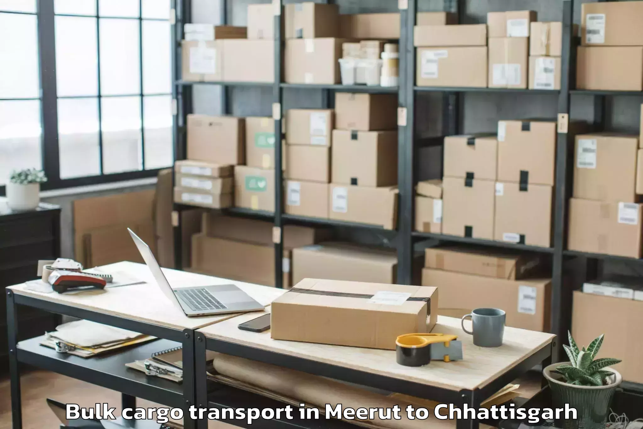 Book Meerut to Raipur Bulk Cargo Transport Online